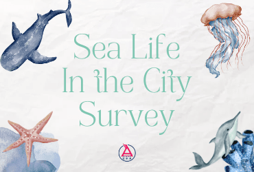 Sea Life in the City Survey newsflash