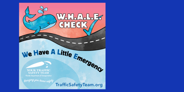 whale check spotlight