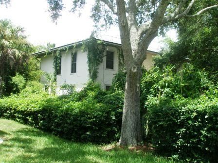 Unkept plants and vegetation overtaking a home.